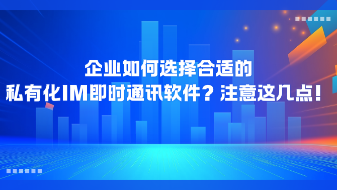 私有化IM软件.png